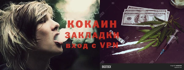 гидра Шадринск
