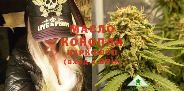 гидра Шадринск