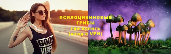 гидра Шадринск