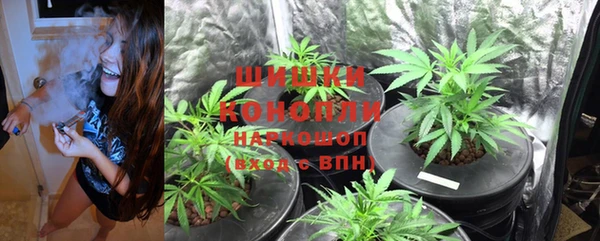 спайс Чекалин