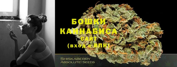 гидра Шадринск